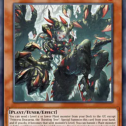Princess Dracaena, the Thirsting Tree (Near Mint) - Master