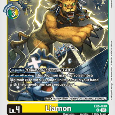 Liamon imagen principal
