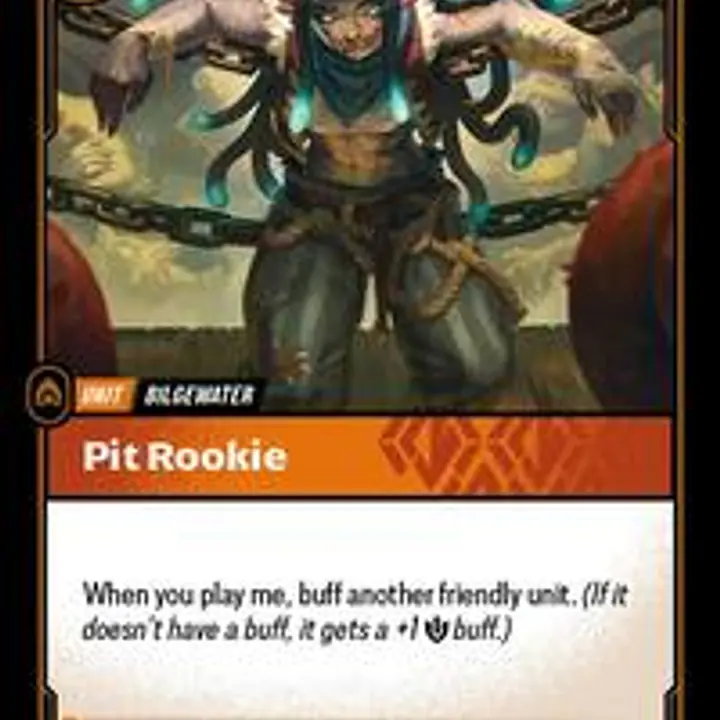 Pit Rookie - Master