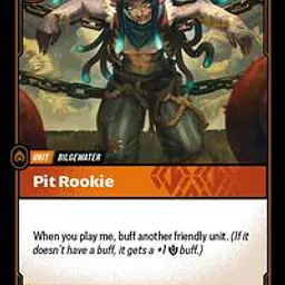 Pit Rookie - Master