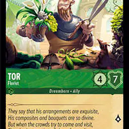 Tor - Florist (Near Mint) - Master