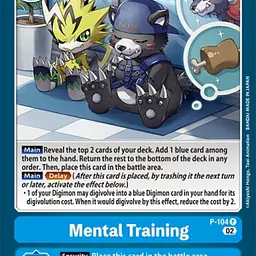 Mental Training - Master
