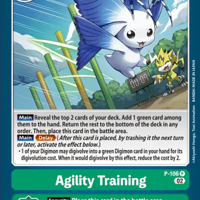Agility Training imagen principal