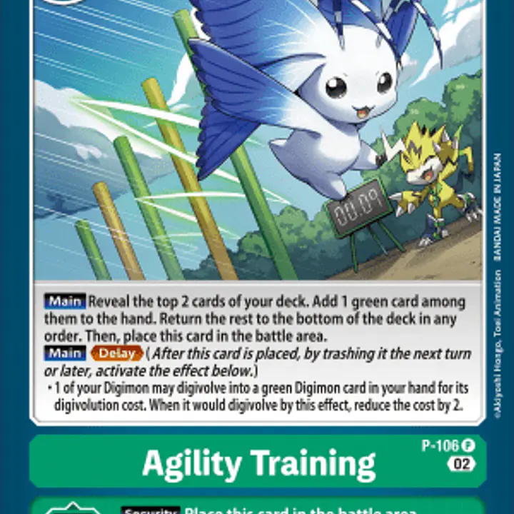 Agility Training - Master