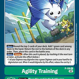 Agility Training - Master