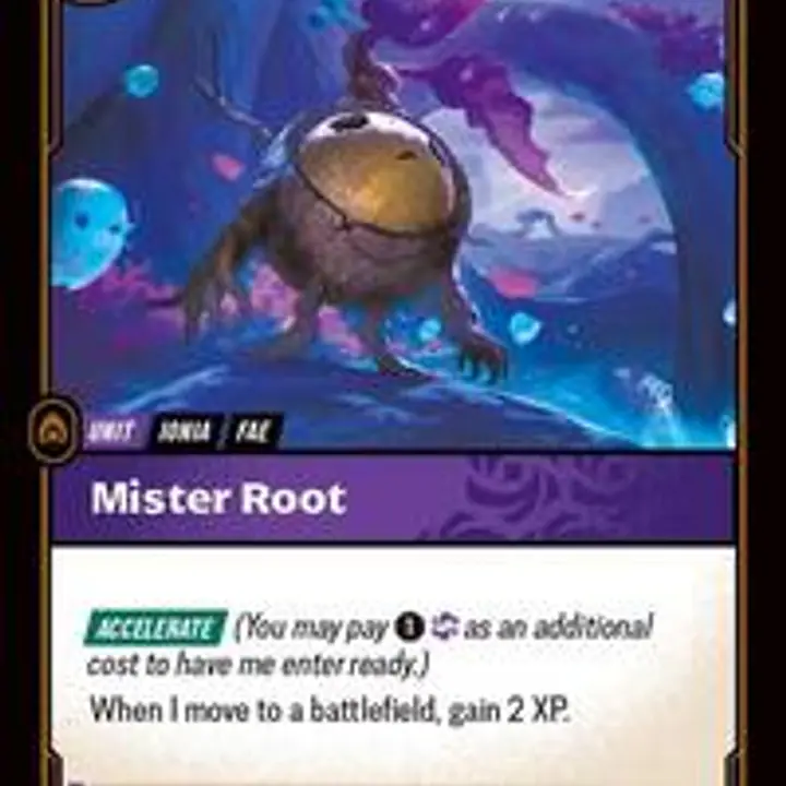 Mister Root - Master