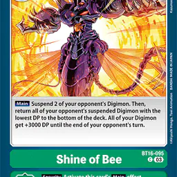 Shine of Bee - Master