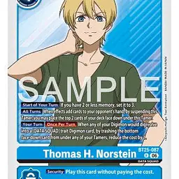 Thomas H. Norstein - Master