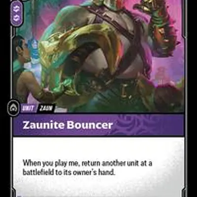 Zaunite Bouncer imagen principal