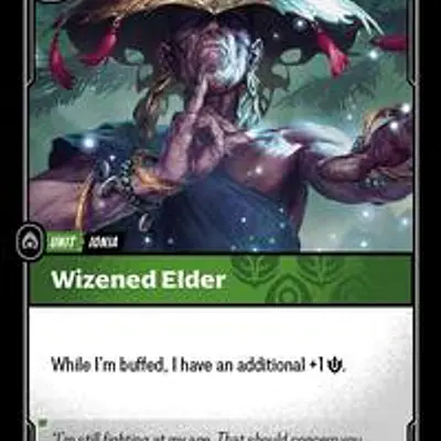 Wizened Elder imagen principal