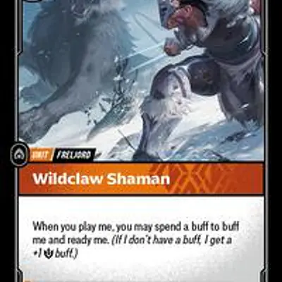 Wildclaw Shaman imagen principal