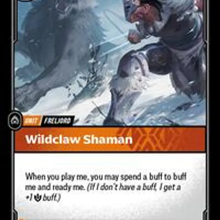 Wildclaw Shaman - Master