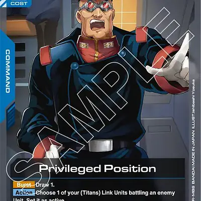 Privileged Position imagen principal