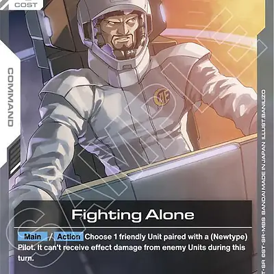 Fighting Alone imagen principal