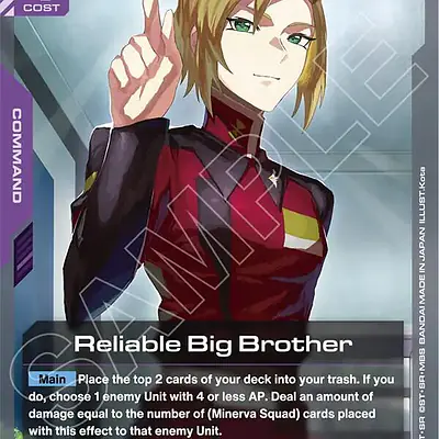 Reliable Big Brother imagen principal