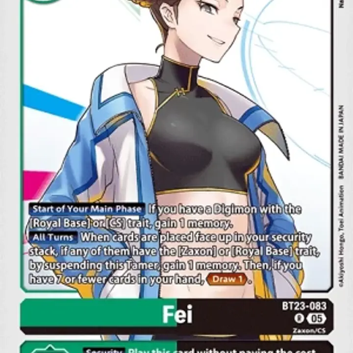 Fei - Master