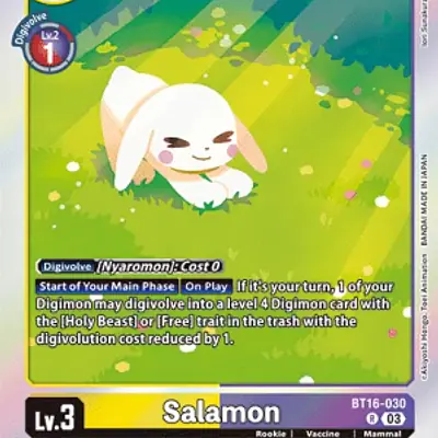 Salamon imagen principal