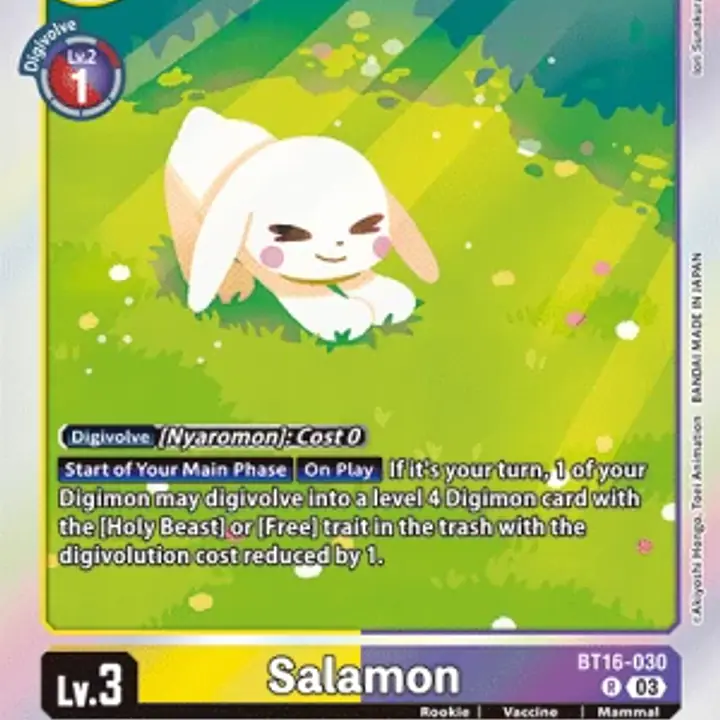 Salamon - Master