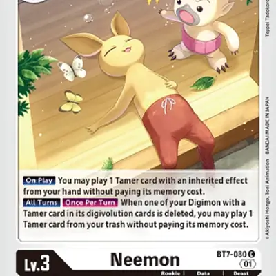 Neemon imagen principal