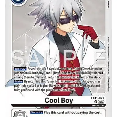 Cool Boy imagen principal