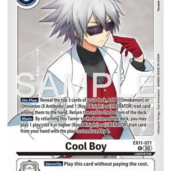 Cool Boy - Master