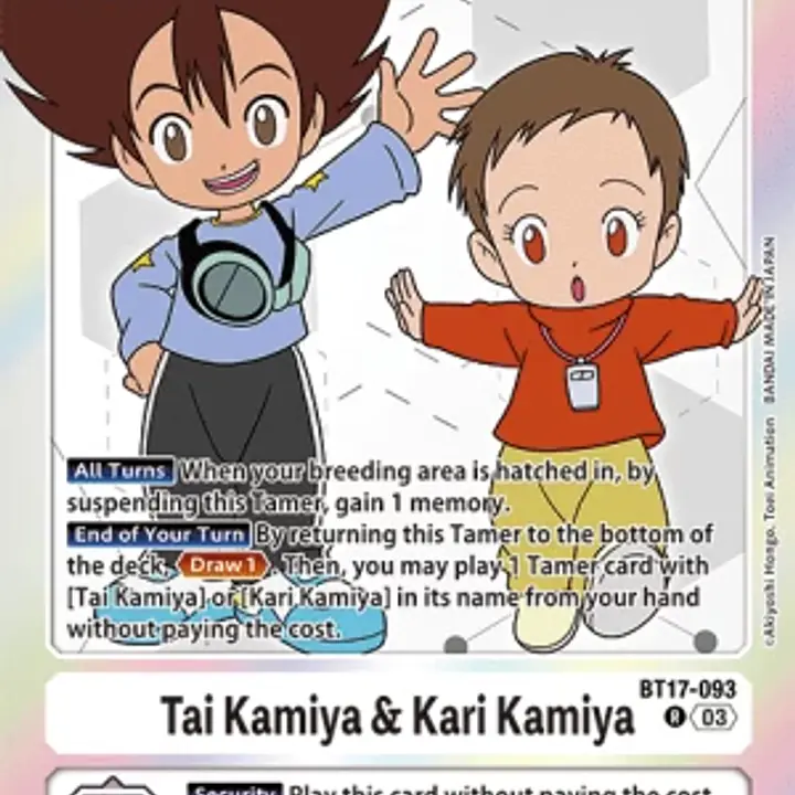 Tai Kamiya & Kari Kamiya - Master