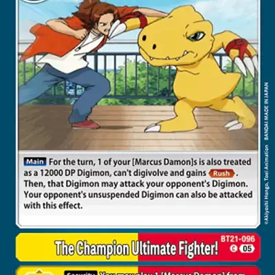 The Champion Ultimate Fighter! imagen principal