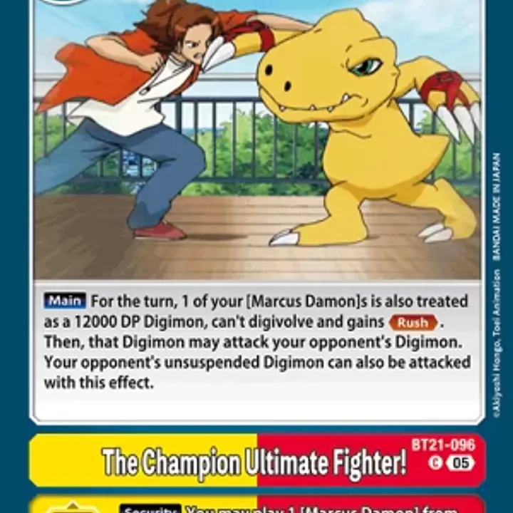 The Champion Ultimate Fighter! - Master