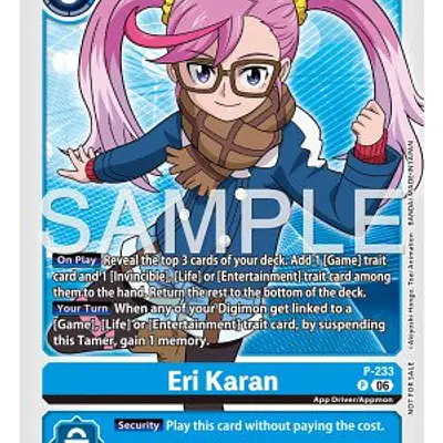 Eri Karan imagen principal